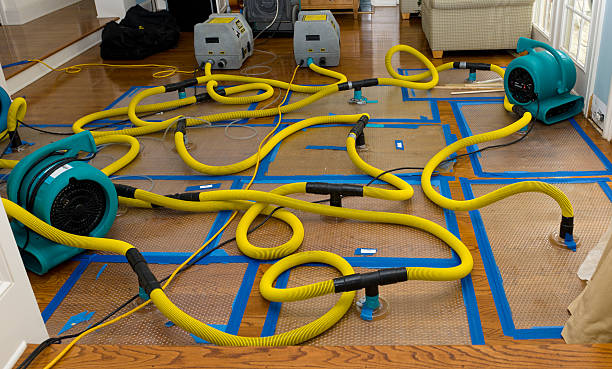 Professional Water Damage Repair technician working in Oriental, NC